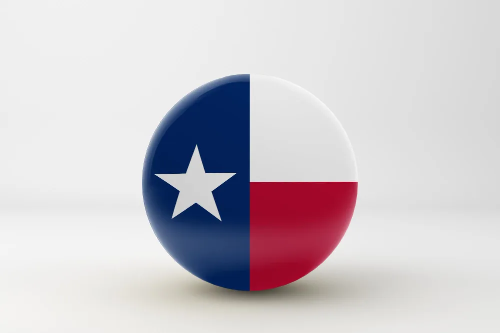 Do You Need a Business License in Texas?